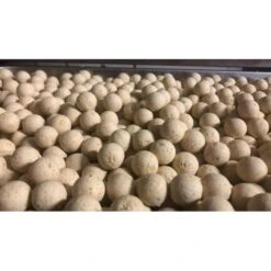 CBB White Cananga Boilies 1kg 8 CBB White Cananga Boilies 1kg -Sonik Store CBB20Baits20White20Cananga20Team20Outdoors3 550x550w
